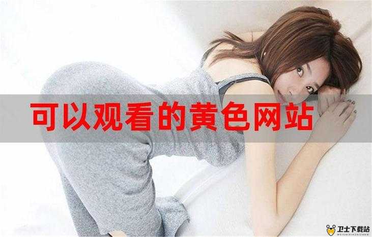 免费网站在线观看人数在哪网站：探寻其背后的相关信息与途径