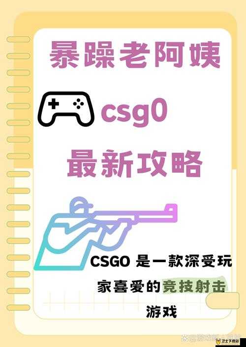 暴躁老阿姨如何玩转 CSGO 最新版本-详细攻略与技巧分享